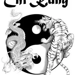 Imagem do curso Curso de Chi Kung, Qi Qong e Meditação