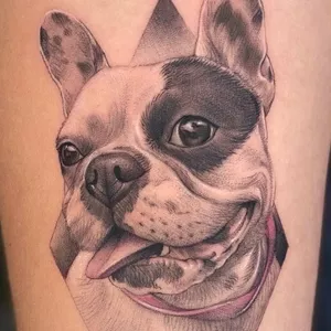 Imagem de capa para o Curso online WORKSHOP - MINI REALISMO PET (PELOS CURTOS) - ÉGHON TACCONI