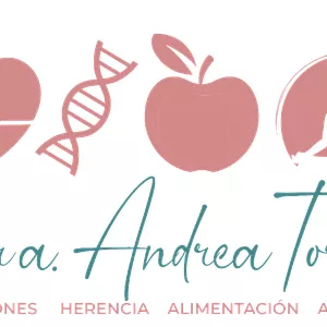 Imagen de portada para Curso online Metamorfosis