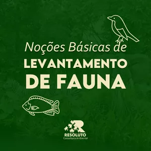Imagem de capa para o Curso online Noções Básicas em Levantamento de Fauna