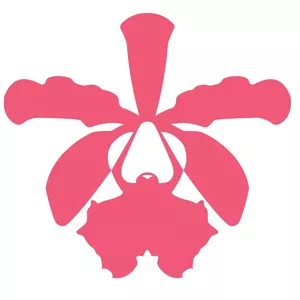 Imagem de capa para o Curso online A Arte de Cultivar Orquídeas