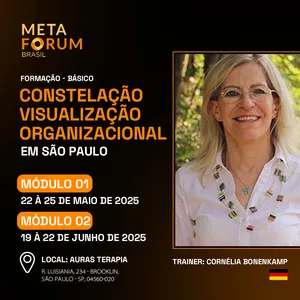Imagem de capa para o Evento presencial Formação Constelação / Visualização Organizacional em São Paulo - Básico