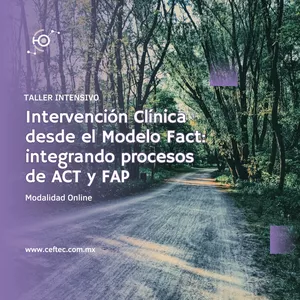 Imagen de portada para Curso online Taller Intervención Clínica desde el Modelo Fact: integrando procesos de ACT y FAP