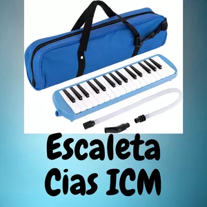 Imagem de capa para o Curso online Escaleta CIAS ICM 