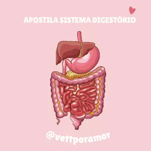 Imagem principal do produto Apostila Sistema Digestório