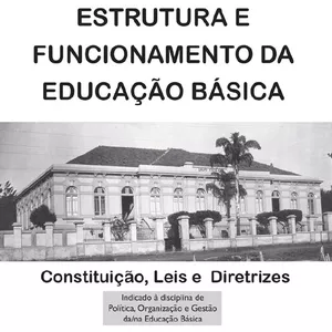 Imagem de capa para o Ebook Estrutura e Funcionamento da Educação Básica - legislação educacional 