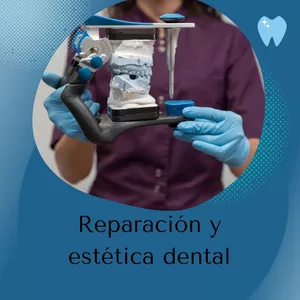 Imagen de portada para Ebook Reparación y estética dental