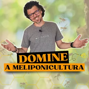 Imagem de capa para o Curso online Domine a Meliponicultura