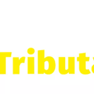 Imagem de capa para o Curso online Estrategista Tributário