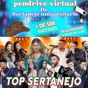 Imagem de capa para o Ebook Aproveite e compre junto: Pendrive virtual Sertanejo Universitário