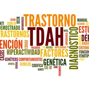 Imagem de capa para o Ebook Entendendo o Transtorno de Déficit de Atenção e Hiperatividade TDAH