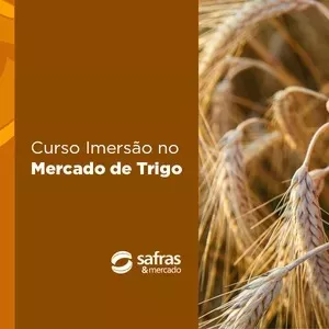 Imagem de capa para o Curso online Curso Imersão no Mercado de Trigo - Safras e Mercado