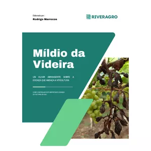 Imagem de capa para o Ebook EBOOK MÍLDIO EM UVA