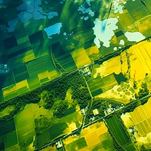 Imagen de portada para Curso online Google Earth Engine, Machine Learning y Python en la Agricultura 4.0