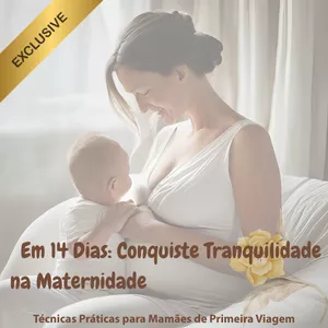 Imagem de capa para o Ebook Em 14 Dias: Conquiste Tranquilidade na Maternidade  Técnicas Práticas para Mamães de Primeira Viagem