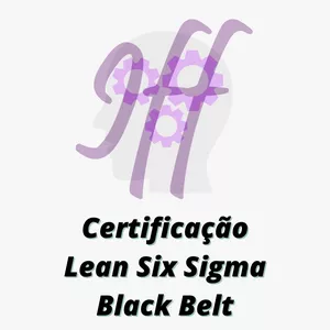 Imagem do curso Certificação LEAN SIX SIGMA BLACK BELT