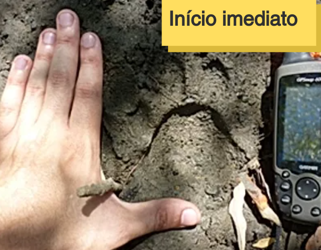 Imagem do curso Curso sobre Técnicas de Levantamento e Monitoramento da Mastofauna para Consultoria e Licenciamento Ambiental