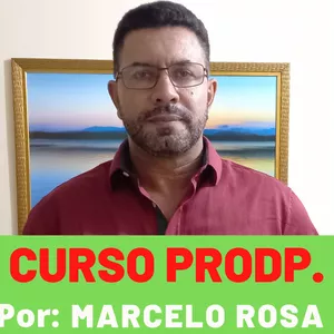 Imagem de capa para o Curso online CURSO PRODP