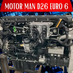 Imagem de capa para o Curso online MOTOR MAN D26 EURO 6