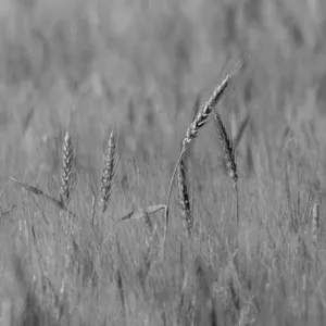 Imagen de portada para Ebook Mejora tu Imagen Personal: Guía Completa de Lookmaxing