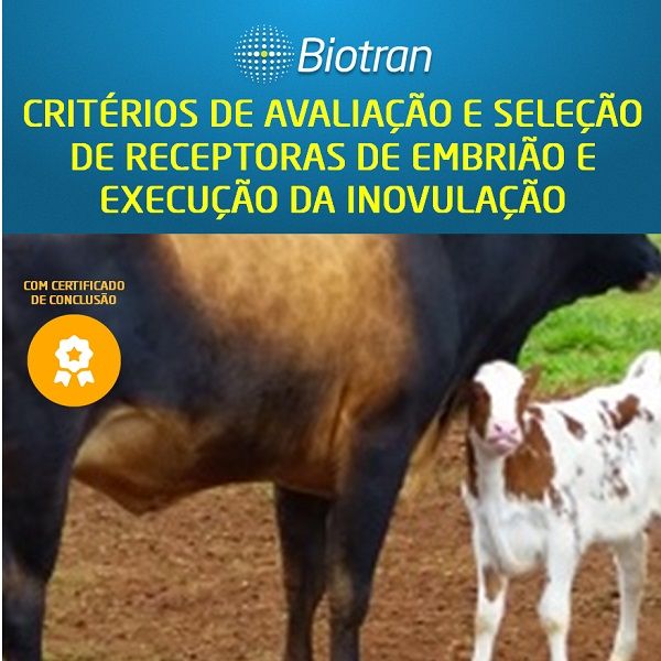 Capa do curso 