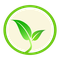 SanteVege 