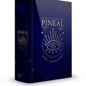 Imagen de portada para Curso online PINEAL XT