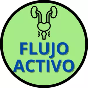 Imagen de portada para Ebook Flujo Activo