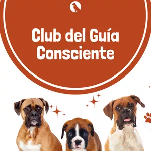 Imagen de portada para Curso online Club del Guía Consciente