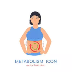 Imagen de portada para Curso online Paquete metabolico
