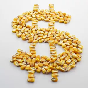 Imagem de capa para o Curso online  Mercados Futuros Agropecuários