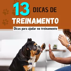 Imagem de capa para o Ebook 13 Dicas de Treinamento para o seu Cão