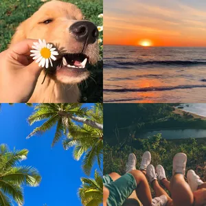 Imagem de capa para o Curso online Preset 1.0