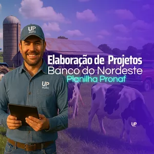 Imagem do curso Elaboração de Projetos - Bando do Nordeste - Planilha Pronaf