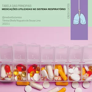 Imagem de capa para o Ebook Tabela das principais medicações utilizadas no sistema respiratório de cães e gatos 