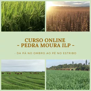 Imagem de capa para o Curso online Curso Online Pedra Moura ILP – Da pá no ombro ao pé no estribo –