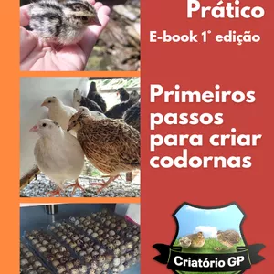 Imagem de capa para o Ebook Como iniciar criação de codornas
