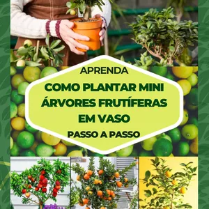 Imagem de capa para o Ebook APRENDA COMO PLANTAR MINI ÁRVORES FRUTÍFERAS EM VASO PASSO A PASSO