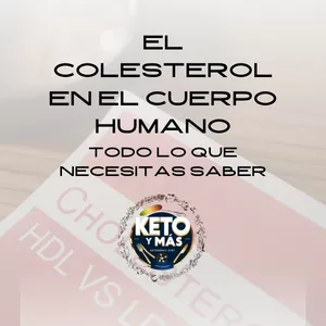 Imagen de portada para Ebook El Colesterol en el Cuerpo Humano