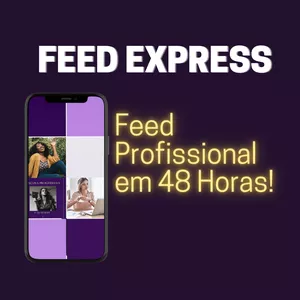 Imagem de capa para o Curso online  FEED PROFISSIONAL EM 48 HS