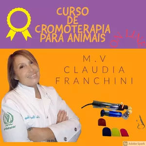 Imagem do curso Curso de Cromoterapia  para Animais