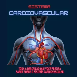 Imagem de capa para o Ebook Sistema Cardiovascular - Resumo Essencial.