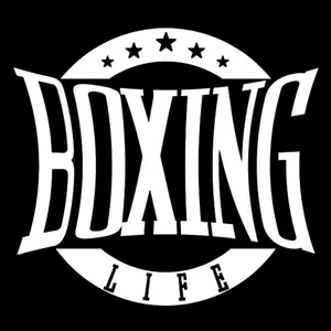 Imagem de capa para o Curso online Boxing Life