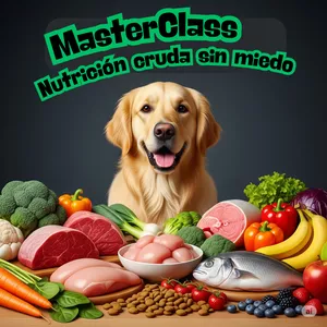 Imagen de portada para Curso online MasterClass Nutrición Cruda sin Miedo