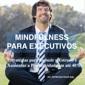 Imagem de capa para o Ebook Mindfulness para Executivos: Estratégias para Reduzir o Estresse e Aumentar a Produtividade em até 40%