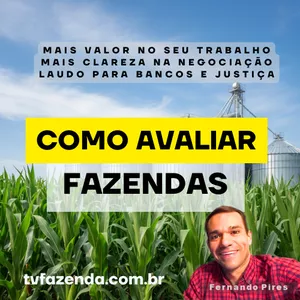 Imagem de capa para o Curso online COMO AVALIAR FAZENDAS