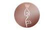 Women's Mystery School