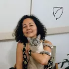 Caminhos da Alma - Registros Akashicos