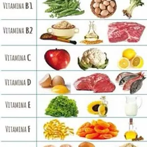 Imagen de portada para Ebook VITANAT SUPLEMENTO 