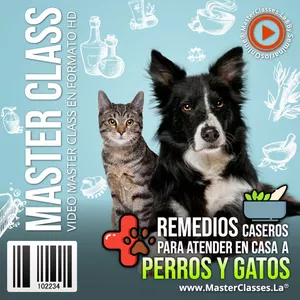 Imagen de portada para Curso online Remedios Caseros Para Atender en Casa a Perros y Gatos